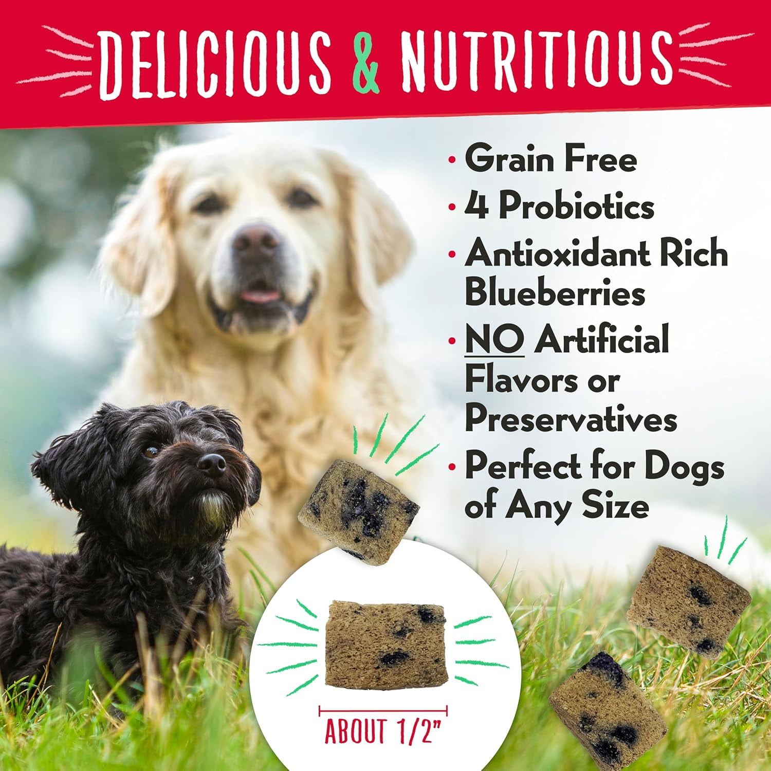 Charlee Bear Grain Free Meaty Bites Freeze Dried Dog Treats with Probiotics, Puppy Training Snacks, Soft Dog Bites Chicken with Blueberries, 2.5 oz Bags (2), Made USA