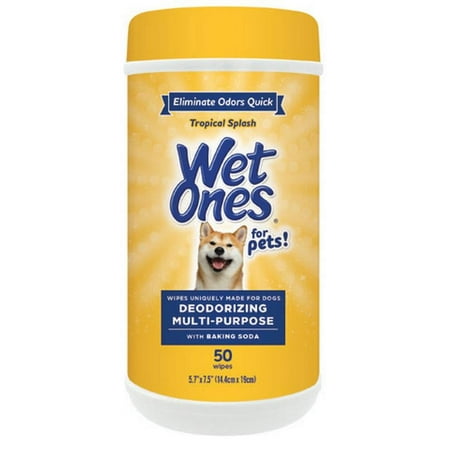 UPC: 0742797873787 | Wet Ones Deodorizing Wipe for Dogs – 50 ct Canister