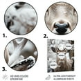 thumbnail image 3 of Designart "Winter Deer Animal " Animals Deer Metal Wall Decor, 3 of 5