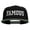 Black Silver, variant on Famous Embroidered Two Tone Snapback Cap - Black Silver OSFM