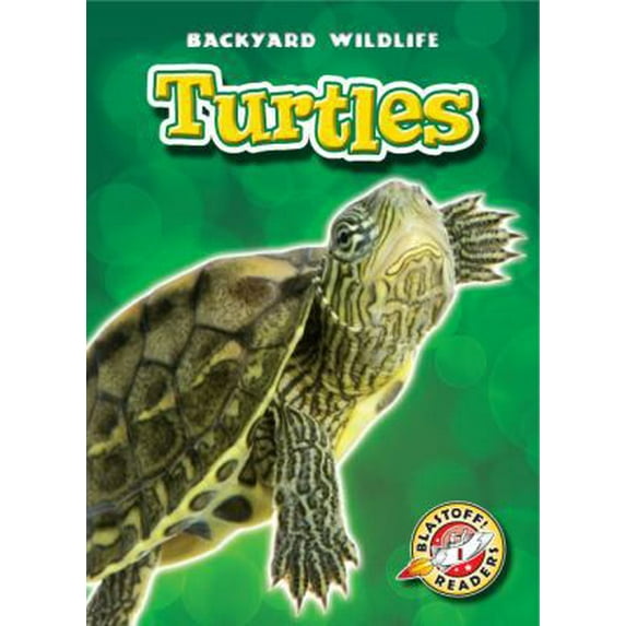 Pre-Owned Turtles (Library Binding) 1600144489 9781600144486