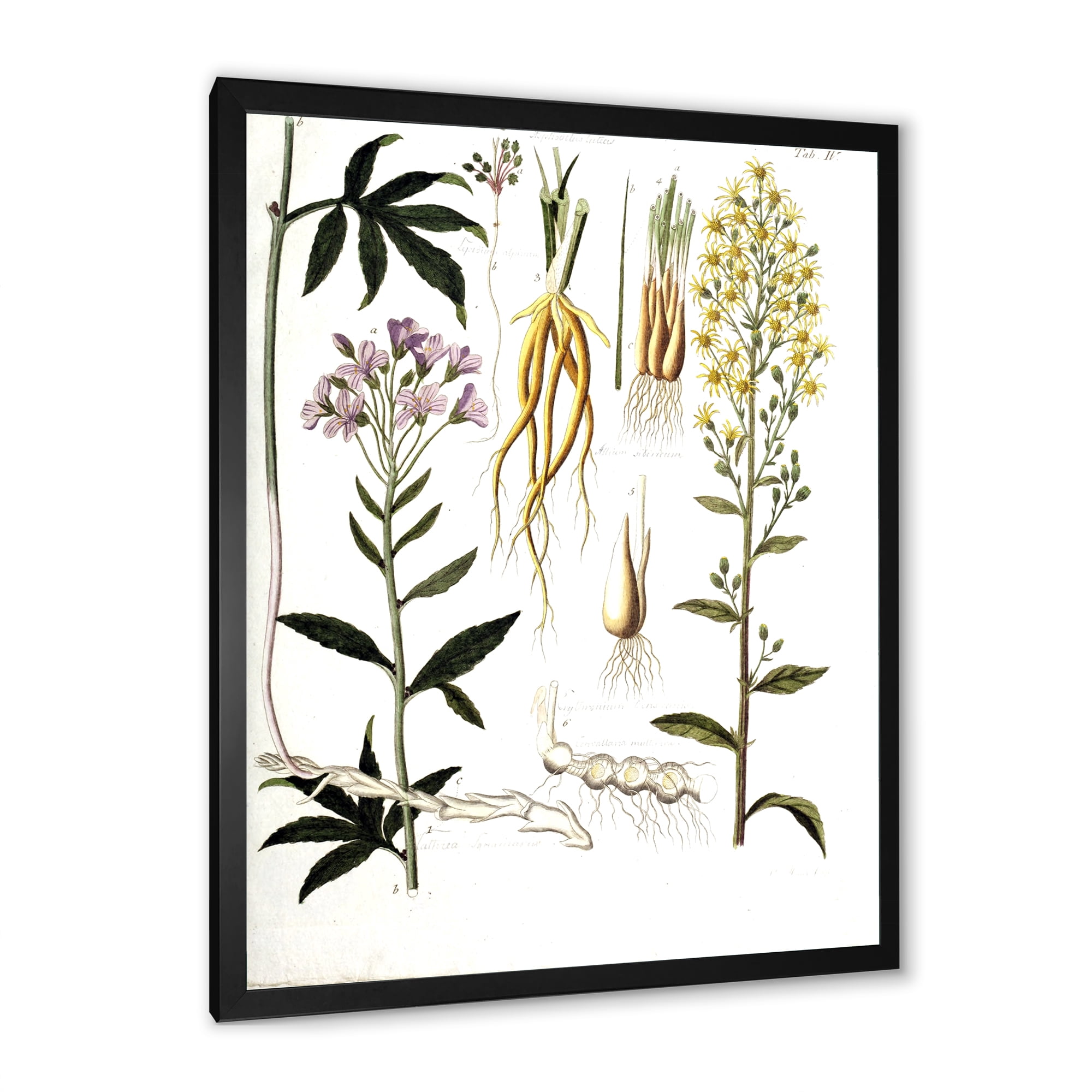 Designart 'Ancient Plant Life VIII' Farmhouse Framed Art Print