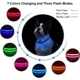 thumbnail image 2 of Collar LED para perro azul (mediano (40-55 cm)), ajustable, con 3 modos y 7 colores, impermeable, recargable por USB., 2 of 5