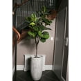 thumbnail image 3 of Artificial Faux Fig Tree 89" Large Fake Plant with Planter, 3 of 3