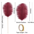 thumbnail image 4 of Kit de 20 plumas de avestruz burdeos Holmgren 25-30 cm, 4 of 6