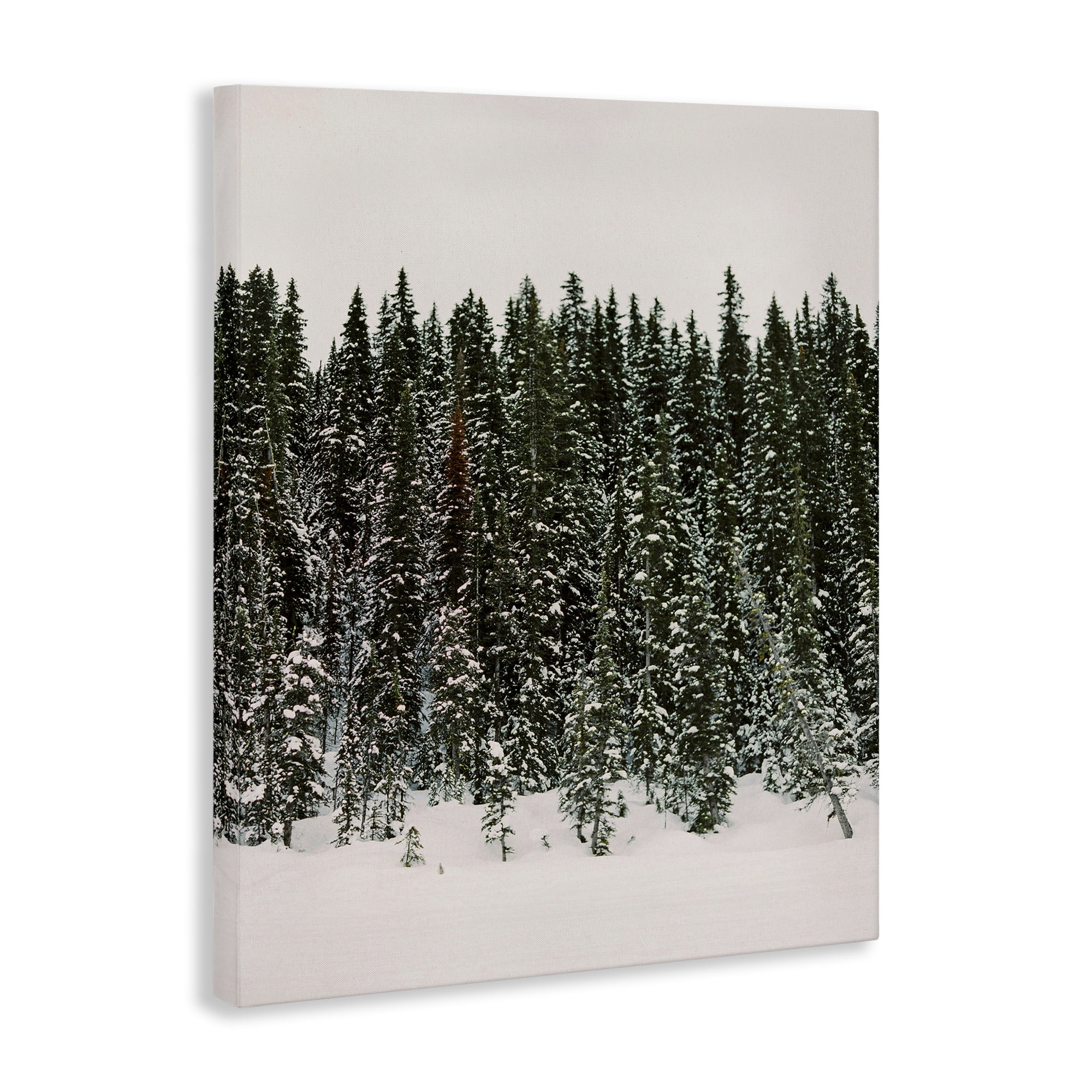 Stupell Industries Winter Forest Grove Landscape Photography Gallery Wrapped Canvas Art Print Wall Art, 36 x 48
