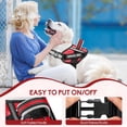 thumbnail image 2 of Set de chaleco, arnés y correa para perros de servicio Animire in Training, 2 of 8