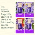 thumbnail image 2 of Lifelines In-Bloom Essential Oil Blend Discovery Set, Long-Lasting Scented Fragrance for Aromatherapy Diffusers, 4 Pack, 2 of 6