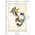 thumbnail image 5 of Art.com American Goldfinch Art Print by John James Audubon, White Frame Wall Art, 17" x 23", 5 of 5