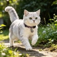 thumbnail image 4 of Outdor Collar For And Cats Adjustable Breakaway Buckle Comfortable Soft Nylon Breathable Reflective Stitching Easy Clean Outdoor Walking Training, 4 of 6