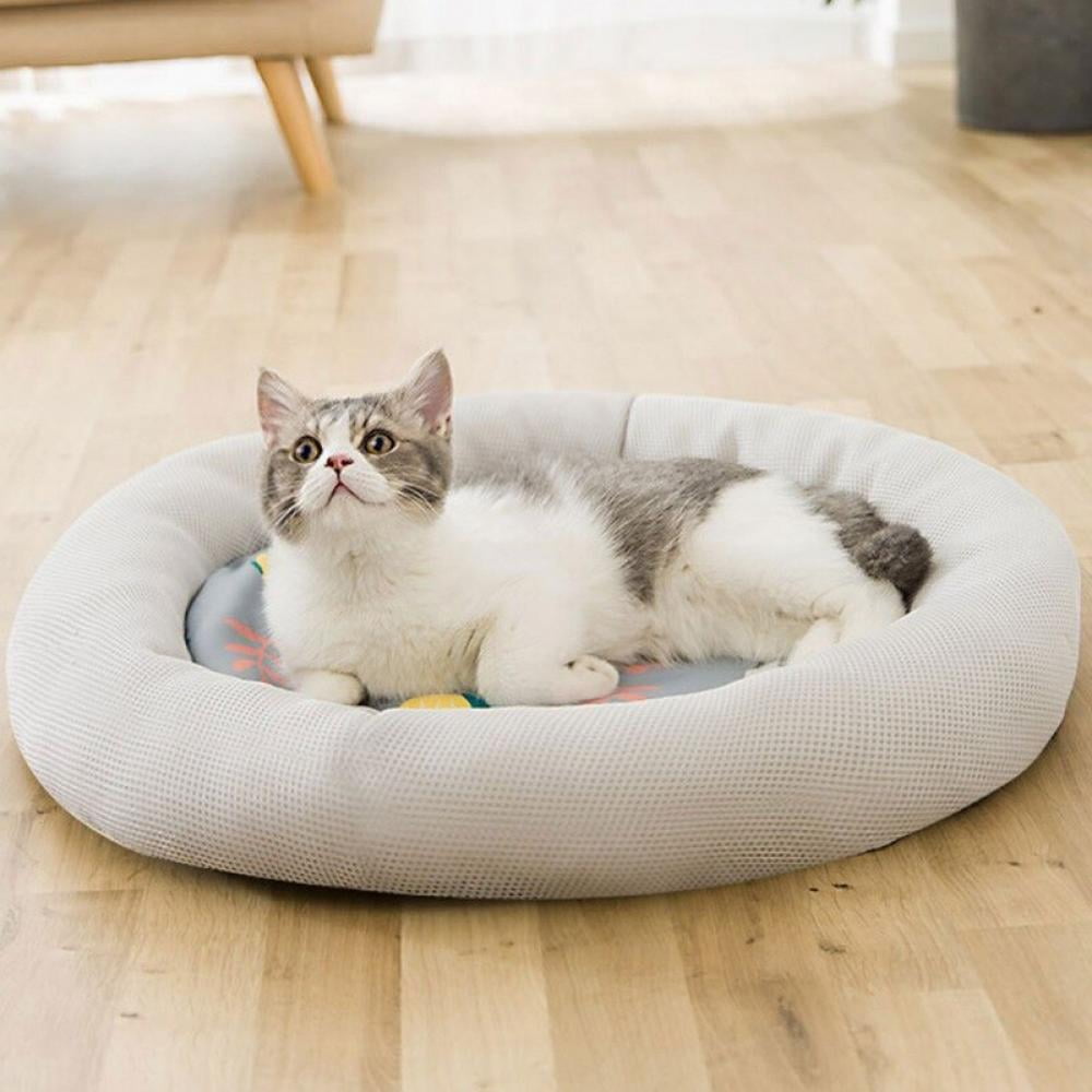 cool cat bed