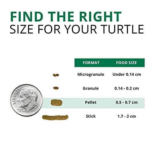 Buy Fluval Bug Bites Turtle Food, Pellets for Small to Medium Sized