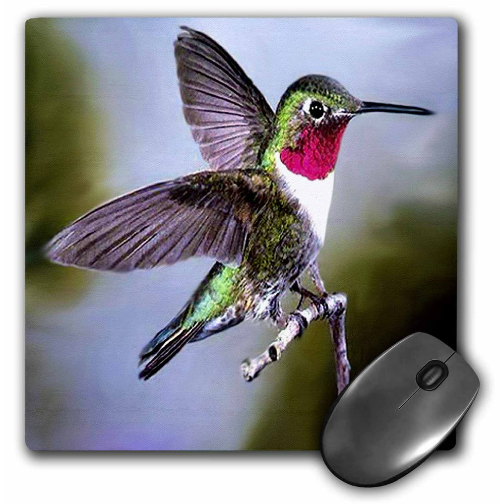 3dRose Hummingbird, Bird, Mouse Pad, 8 by 8 inches - Walmart.com ...