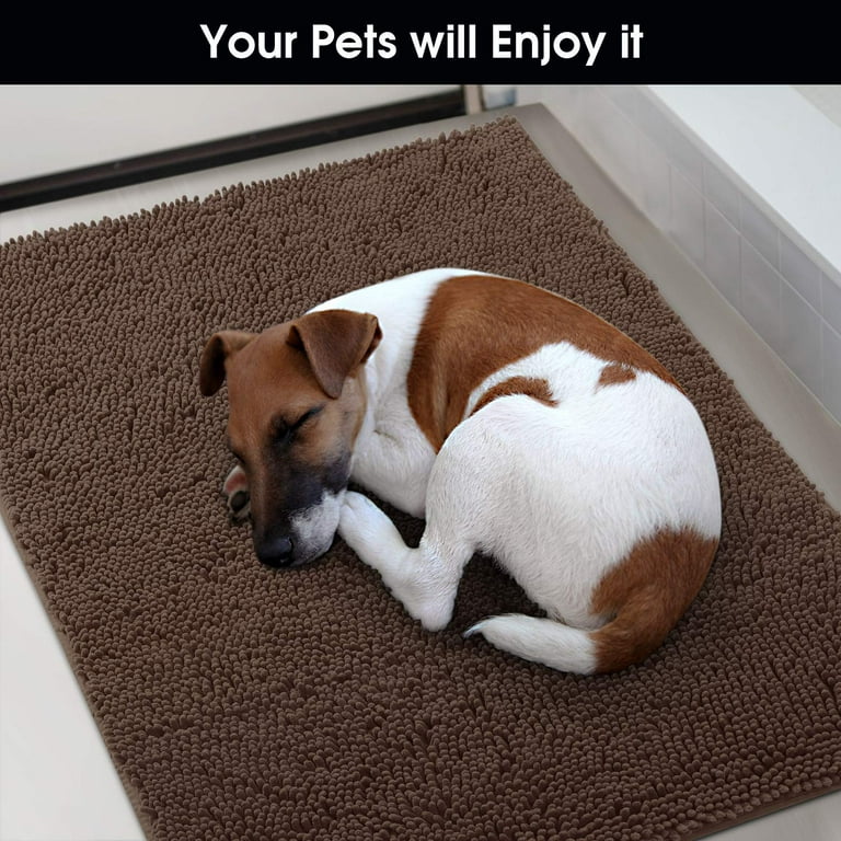 YJ.GWL Indoor Door Mat Entryway Rug Traps Mud and Dirt, Absorbent Doormats  for Muddy Shoes Dog Paws, Non Slip Bath Mat Welcome Floor Mats,24x36,Gray  with Print 