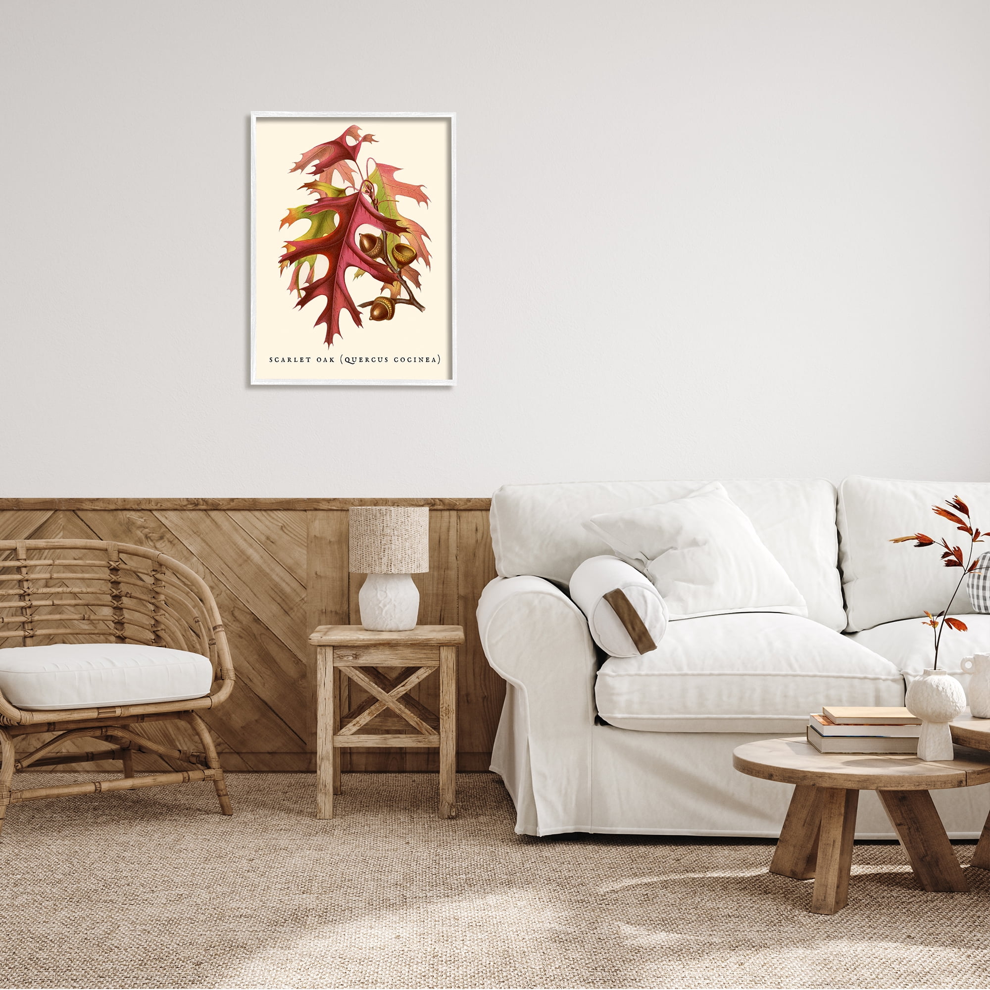 Stupell Industries Antique Scarlet Oak Branch Illustration Autumn Leaves, 24 x 30,Design by Daphne Polselli