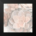 thumbnail image 2 of Kimberly, Allen 15x15 Black Modern Framed Museum Art Print Titled - Dusty Pink Succulents 2, 2 of 5