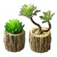 thumbnail image 1 of 2 uds. Maceta de madera de simulación, planta en maceta suculenta, decoración creativa para el hogar, simulación de planta suculenta, flor de simulación, 1 of 5