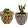 thumbnail image 1 of India Meets India Ceramic Flower Pot Designer Planter Vase Indoor Outdoor Planter Handicraft by Awarded Indian Artisan (Yellow & Cream, Set of 2), 1 of 5