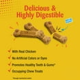 thumbnail image 3 of Nylabone Nubz Chicken Dog Chew Treats Small - Up to 30 lbs. (4 Count), 3 of 12