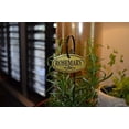 thumbnail image 7 of H300 Plant Markers, Brass Plated Herb s With 10" Stakes, Labels For Herbs In Home, Garden, Greenhouse, Set Of 8, 7 of 7