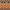 Rust/Red, variant on SAFAVIEH Veranda Luwig Southwestern Indoor/Outdoor Area Rug, 5'3" x 7'7", Rust/Red