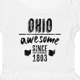 thumbnail image 4 of Inktastic Ohio Awesome Since 1803 Girls Toddler Dress, 4 of 5