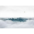 thumbnail image 2 of Bergolth, Matthias 18x13 Black Modern Framed Museum Art Print Titled - Misty Morning Surprise, 2 of 4