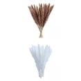 thumbnail image 1 of 30x Ramo de pampa natural esponjoso y seco Decoración bohemia para Hogar, 1 of 9
