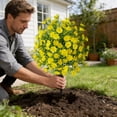 thumbnail image 4 of Outdor Using Spherical And To Make Boxwood Suitable For Outdoor Ground Nails Of Front Doors Gardens And Terraces, 4 of 5
