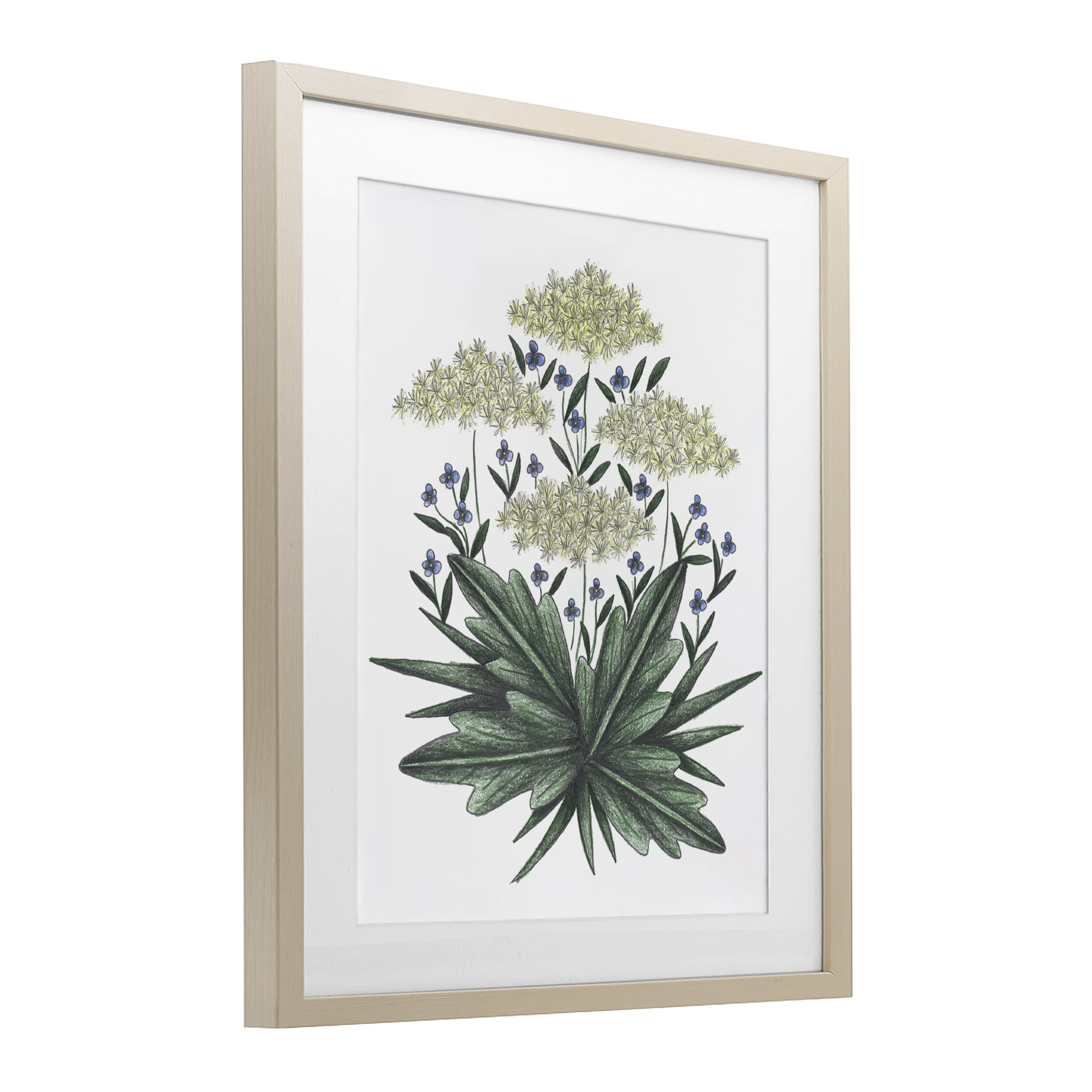 New Roots Vintage Sketch Birch Framed Print Under Glass, design by Cecilia Battaini