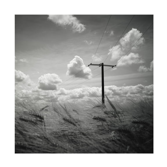 Canvas Wall Art - Christophe Staelens 'T' Wall Art for Living Room, Bedroom, or Office Décor by Trademark Fine Art - 14 x 14 Inches