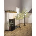 thumbnail image 2 of Olive Tree, Warm white 140 Micro Lights, 4', 2 of 2