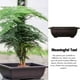 thumbnail image 3 of Bearachild Macetas Bonsai suculentas para vivero, maceta para interior y exterior, jarrón rectangular de para balcón y jardín Jardín y Patio 26.00*19.00*8.00 cm Bearachild HA084272-04, 3 of 6