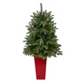 thumbnail image 3 of 44in. Snowed Grand Teton Fir Artificial Christmas Tree with 50 Clear Lights and 111 Bendable Branches in Planter, 3 of 6