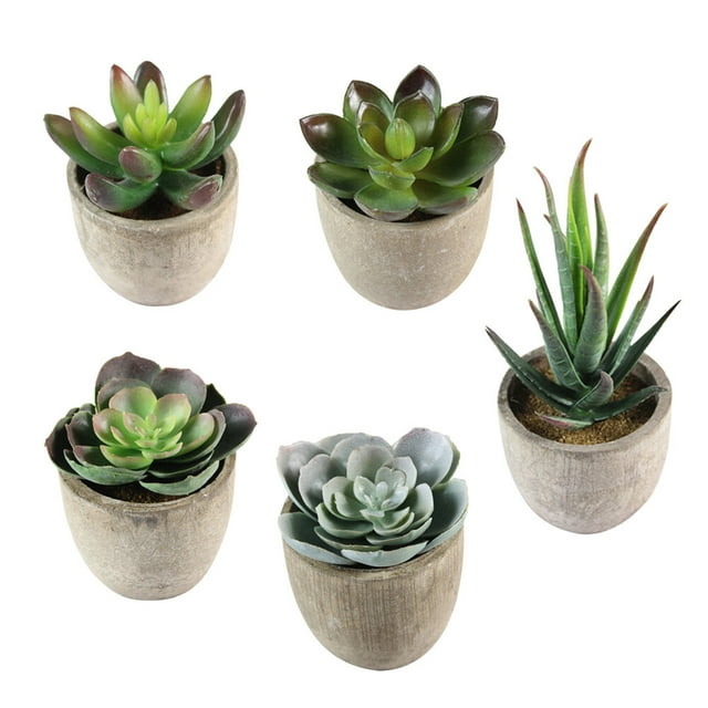 MasteelfCA 5pcs Decorative Faux Succulent Artificial Succulent Fake Simulation Plants with Pots