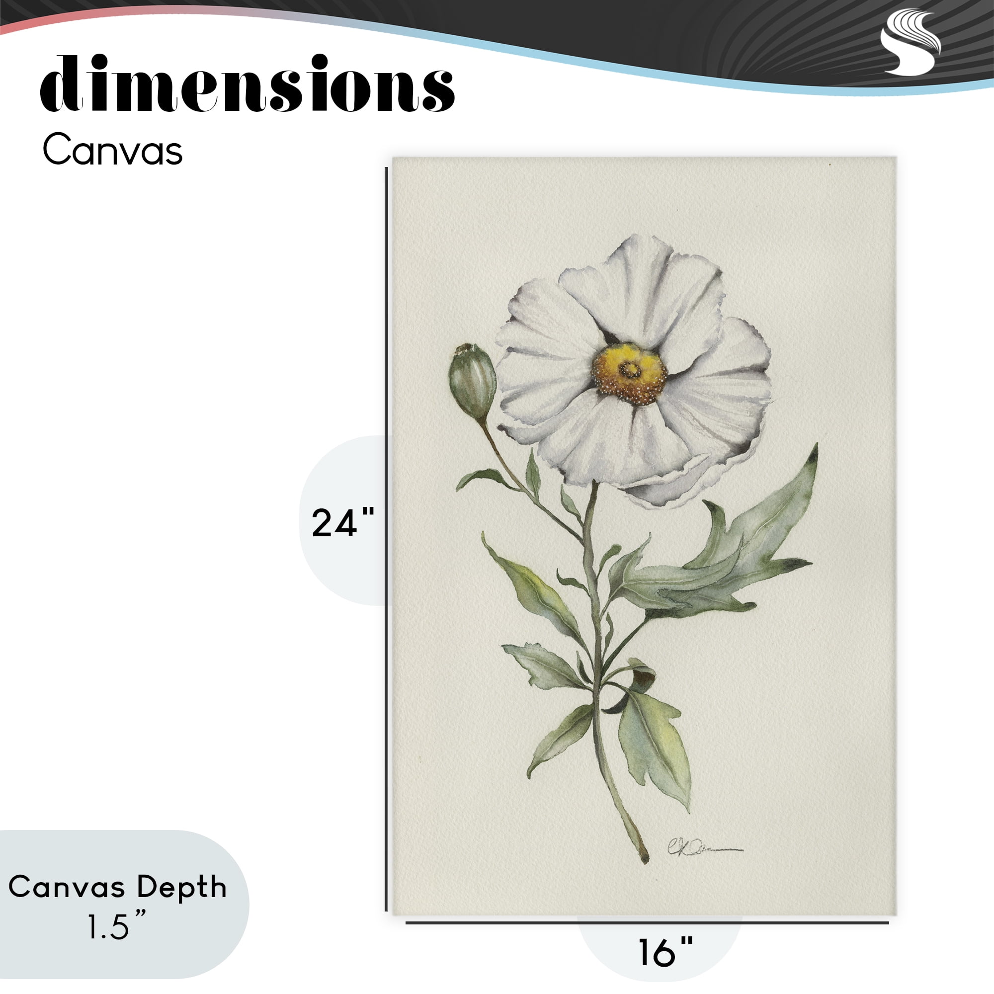 Stupell Industries Natural Wild Blossom Sprig Canvas Wall Art, design by Cady Driver