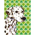 thumbnail image 1 of 11 x 15 Po. Drapeau Portrait Trèfle de la Saint-Patrick, Taille Jardin, 1 of 1