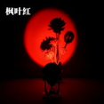 thumbnail image 2 of CNKOO Projector USB Decoration Projection Light Atmosphere Background Home Desk Night Lamp  Maple-leaf Red, 2 of 10