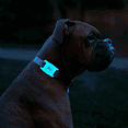 thumbnail image 4 of Case-Mate Airtag Case for Dog Collars, 4 of 4