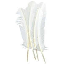 Zucker Turkey Quill Feathers 4/Pkg-White