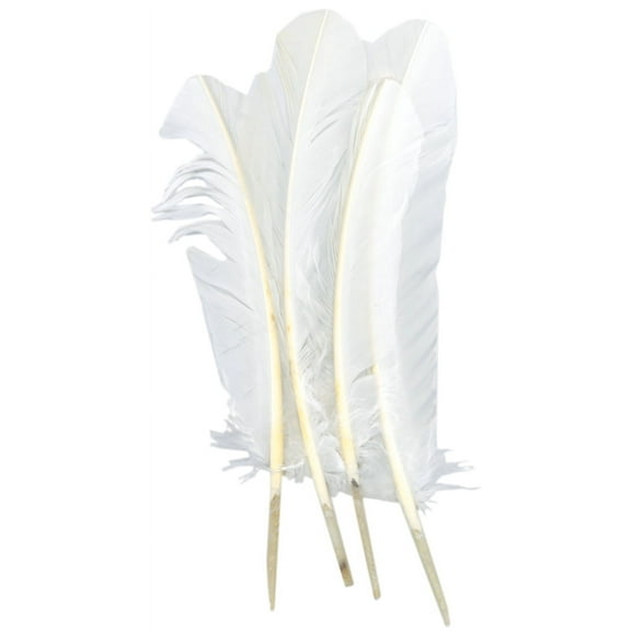 Zucker Turkey Quill Feathers 4/Pkg-White