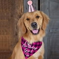 thumbnail image 1 of Pet Clothes Birthday Party Outfit Hat And Bandana For Cats Celebration Photo, 1 of 3