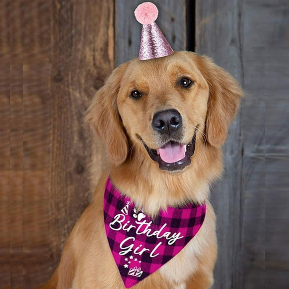 Vêtements pour Animaux Tenue de Fête d'Anniversaire Chapeau et Bandana pour Chat Célébration Photo