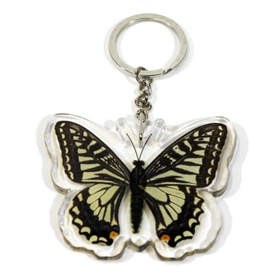 Company BTK102 Real Bug Asian Swallowtail Butterfly Key Chain