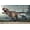 Premium Unframed Version, variant on Dinosaurs - T-Rex Wall Poster, 22.375" x 34"
