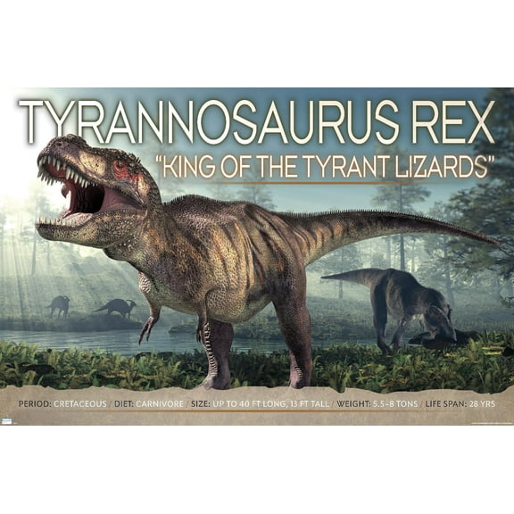 Dinosaurs - T-Rex Wall Poster, 22.375" x 34"