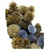 thumbnail image 5 of Set de decoración navideña con 6 piñas (naturales) chapadas, 5 of 5