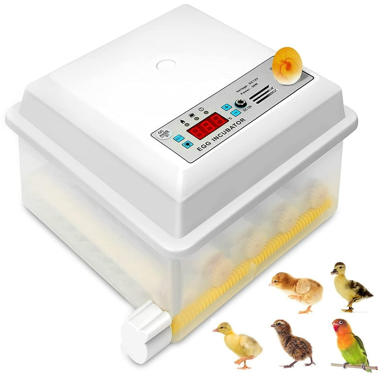 Egg Incubator, Incubators for Hatching Eggs, Automatic Egg Turning and  Humidity Temperature Control, 16-30 Eggs Incubator with Egg Candler Tester  for Hatching Chicken Duck Goose Turkey Quail 