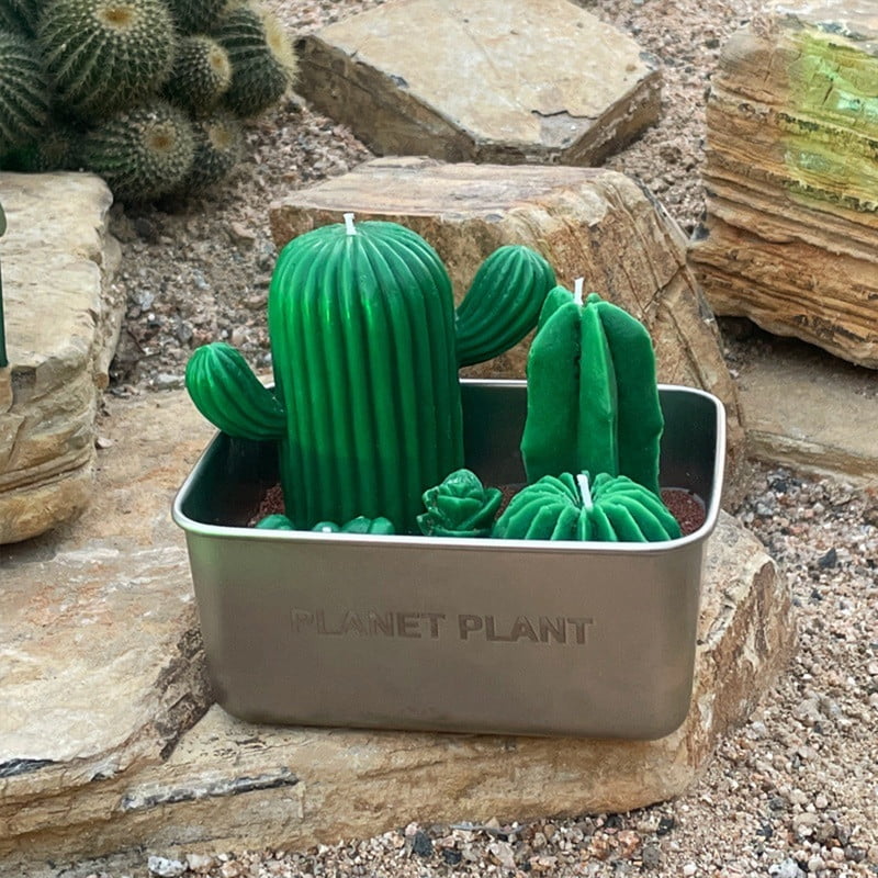 Realistic Cactus Scented Candle Gift with 4 Wick Design in Metal Base – Decorative Green Succulent Candle with Sand-Like Detail in Gift Box – Perfect for Holidays, Birthdays, Anniversaries & More