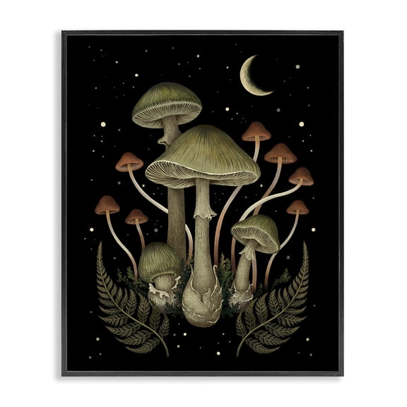 Stupell Industries Eclectic Night Mushrooms & Ferns Black Framed Giclee Art, 16 x 20, by Episodic Drawings